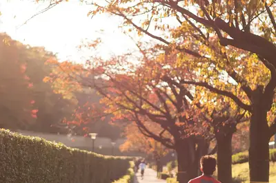 Correr en Parques Urbanos: Guía para Runners en México